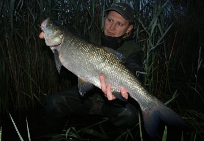 normal_bolohaczyk1.jpg