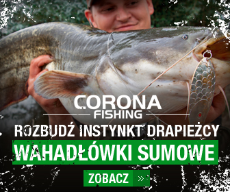 wahadłówki na suma
