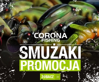 smużaki na klenia smużaki na klenia