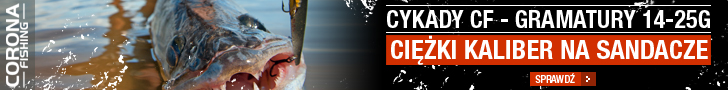 cykady