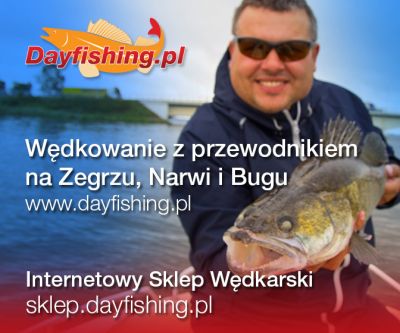 normal_Dayfishing_baner_01duzy.jpg