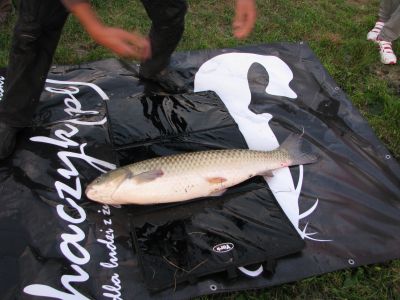 normal_IMG_0480.JPG