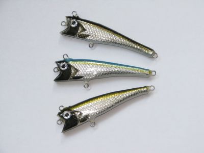 normal_IMG_0645.JPG