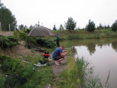 normal_IMG_1995.JPG