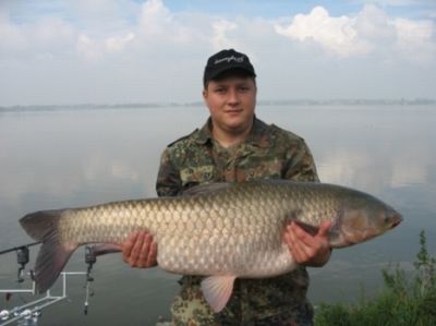 normal_IMG_7425.jpg