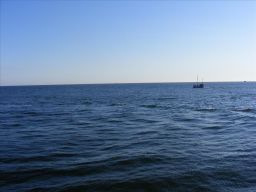 thumb_DORSZE_29_05_2010_WLADYSLAWOWO_078.jpg