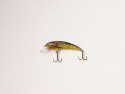 thumb_IMG_0019.JPG