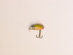 thumb_IMG_0203.jpg