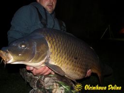 thumb_b_dcc5a4a6e24bbc53c83c991514fa28ab.JPG