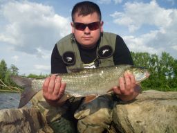 thumb_tomek1988.jpg
