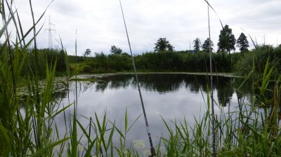 normal_P1000927.JPG
