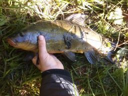 thumb_CAM00403.jpg