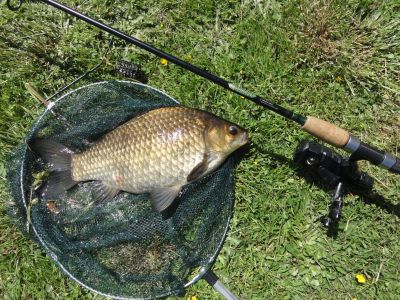 normal_DSC03162.JPG