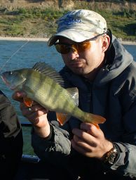 thumb_DSC03710.jpg