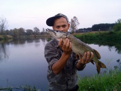 normal_20140918_185829.jpg