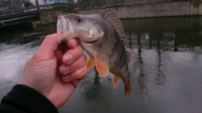 normal_DSC_1690%7E0.JPG