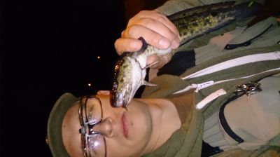 normal_DSC_1896.JPG