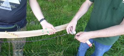normal_P1190004.JPG