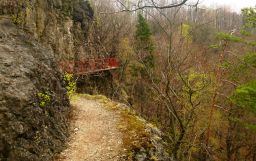 thumb_2014_04_07_Walbrzych-Ksiaz-Pelcznica_283729.JPG