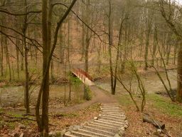 thumb_2014_04_07_Walbrzych-Ksiaz-Pelcznica_285129.JPG
