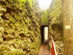thumb_2014_04_07_Walbrzych-Ksiaz-Pelcznica_28529.JPG