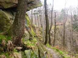 thumb_2014_04_07_Walbrzych-Ksiaz-Pelcznica_28929.JPG