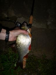 thumb_2014_05_11_Odra_281029.JPG