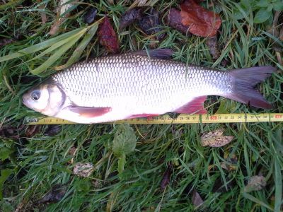 normal_20141021_161024.jpg