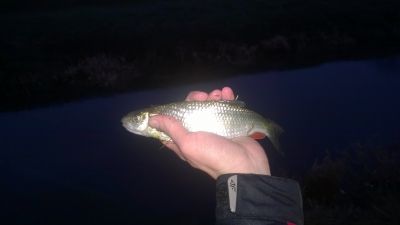 normal_WP_20160201_004.jpg