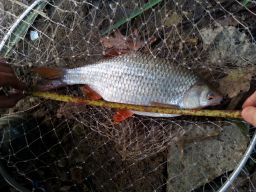 thumb_20141026_065002.jpg