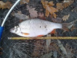 thumb_20141108_095032.jpg