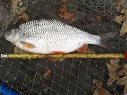thumb_20141108_110233.jpg