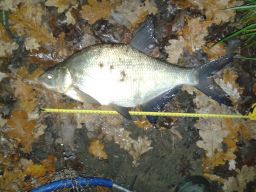thumb_20141110_060732.jpg