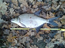 thumb_20141110_100042.jpg