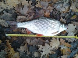 thumb_20141110_105635.jpg