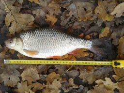 thumb_20141110_114327.jpg