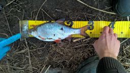 thumb_WP_20150308_08_20_30_Rich.jpg