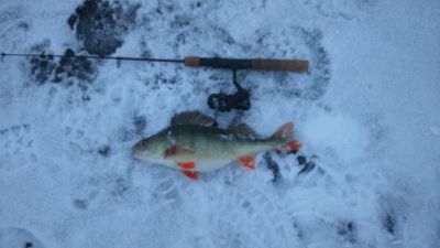 normal_DSC_0111.JPG