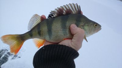 normal_DSC_0412_1.JPG