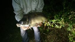 thumb_DSC_0384.JPG