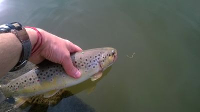 normal_WP_20140831_003%7E0.jpg