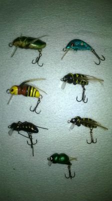 normal_wobki_jaceen_a.jpg