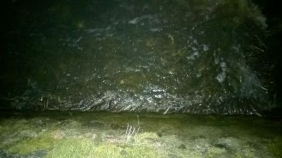 normal_WP_20150412_004.jpg