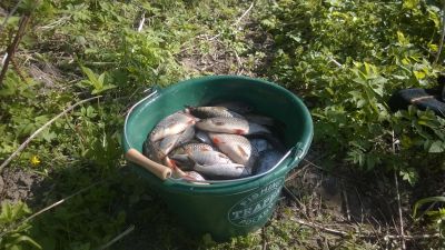 normal_WP_20150422_001.jpg