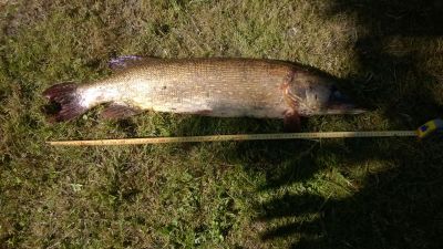 normal_WP_20150605_006.jpg
