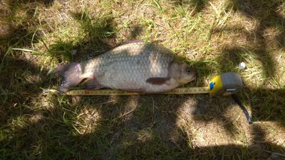 normal_WP_20150610_004.jpg