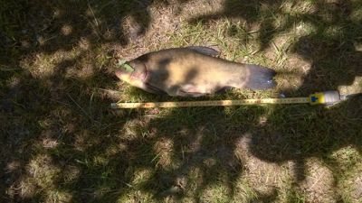 normal_WP_20150610_006.jpg