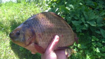 normal_WP_20150627_007.jpg