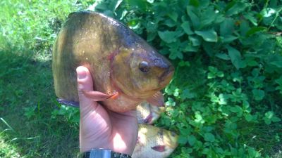 normal_WP_20150627_011.jpg