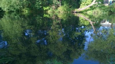 normal_WP_20150720_005.jpg